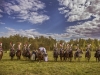 Russian Company at Borodino