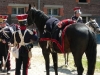image112